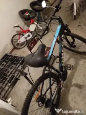 Bicicleta Omega Thomas