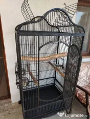 Vând colivie voliera papagal mare 