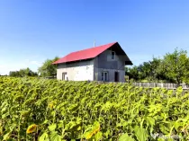 Casă P+M cu 2.700 mp teren intravilan și priveliște panor