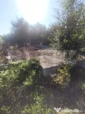 TEREN INTRAVILAN DE VANZARE - LUNCA MURESULUI 700 MP 