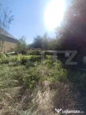 TEREN INTRAVILAN DE VANZARE - LUNCA MURESULUI 700 MP 