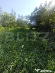 TEREN INTRAVILAN DE VANZARE - LUNCA MURESULUI 700 MP 