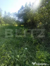 TEREN INTRAVILAN DE VANZARE - LUNCA MURESULUI 700 MP 