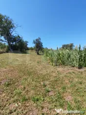 Casa de vanzare 4 camere , garaj si teren 4000 mp 