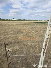 TEREN INTRAVILAN 568 MP | PROIECT CASA | CIHEI - SANMARTIN |