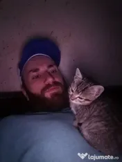 Servicii Îngrijire animale de companie 