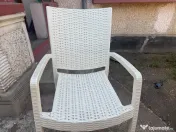 Scaune de grădină 