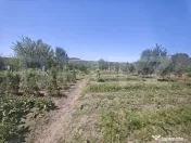 Casă individuală modernă, cu teren de 1.356 mp – la doa