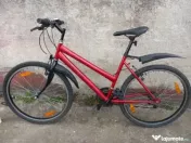 Bicicleta bărbați / femei roti 26" 