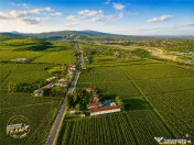 Proprietate unica in zona viticola Odobesti, Vrancea, casa b