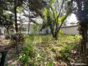Vila Consolidata D+P+1+M | Unirii - Traian - Matei Basarab | 