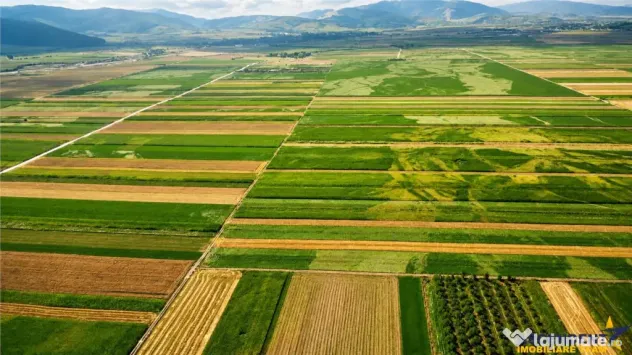 6 parcele cu autorizatie de construire si proiect aprobat: S