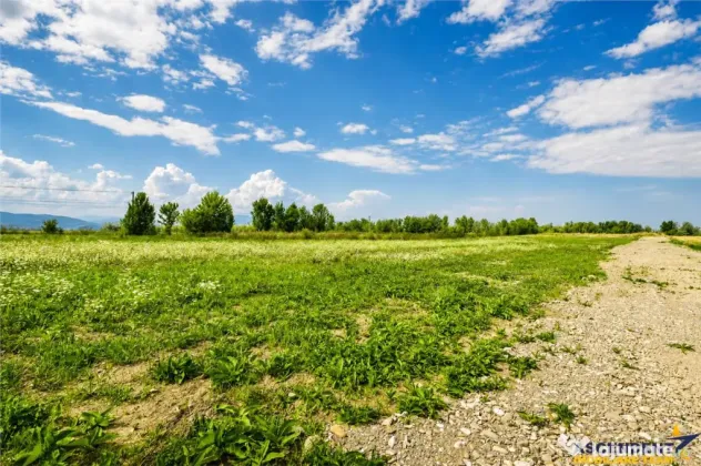 6 parcele cu autorizatie de construire si proiect aprobat: S