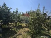 DE VANZARE Casă cu livadă lângă Lacul Făcău 30 min ...