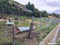 Teren intravilan de 938 mp