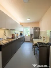 Apartament 2 camere la curte | 61 mp | Grigorescu zona Parcu 