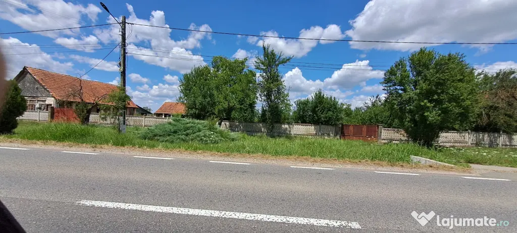 Casa veche din 1955 si teren intravilan 6153 mp,Localitate Sinersig,Jud Timis