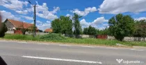 Casa veche din 1955 si teren intravilan 6153 mp,Localitate Sinersig,Jud Timis