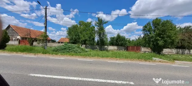 Casa veche din 1955 si teren intravilan 6153 mp,Localitate Sinersig,Jud Timis