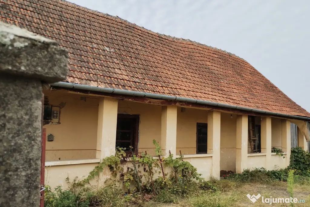 Casa veche din 1955 si teren intravilan 6153 mp,Localitate Sinersig,Jud Timis