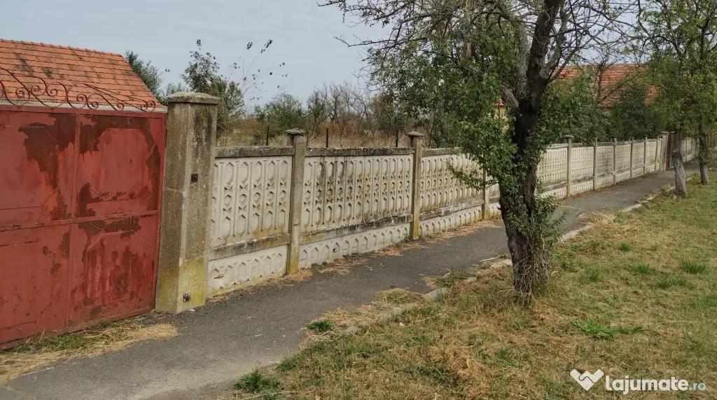 Casa veche din 1955 si teren intravilan 6153 mp,Localitate Sinersig,Jud Timis