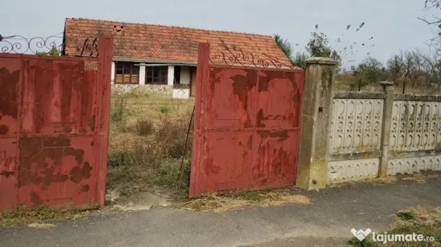 Casa veche din 1955 si teren intravilan 6153 mp,Localitate Sinersig,Jud Timis