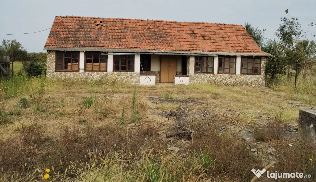Casa veche din 1955 si teren intravilan 6153 mp,Localitate Sinersig,Jud Timis