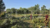 Casa 4 camere, 120 mp, Terem 1700 mp - POMI 