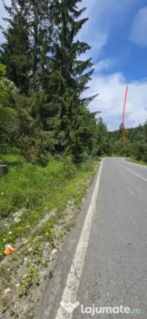 Teren de vânzare aproape de Sinaia 1420mp