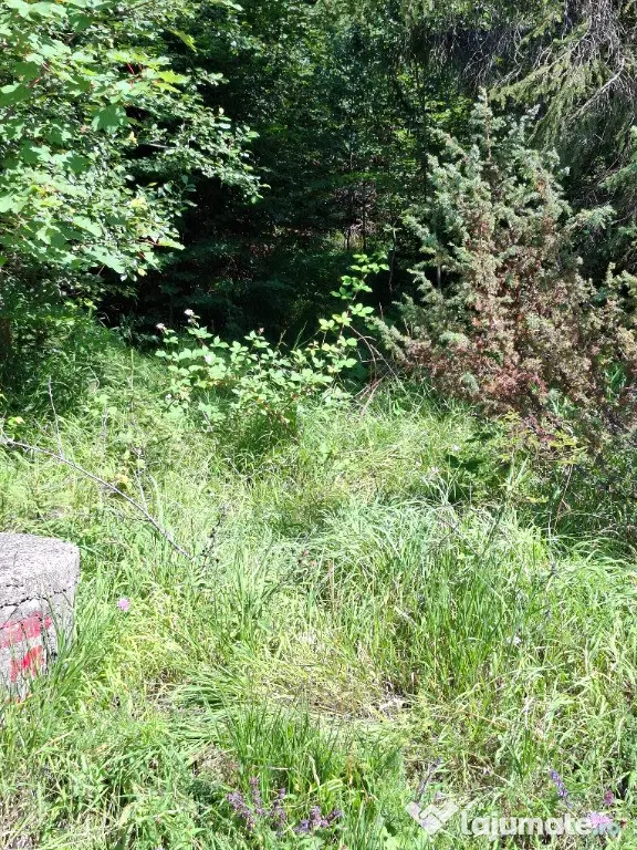 Teren de vânzare aproape de Sinaia 1420mp