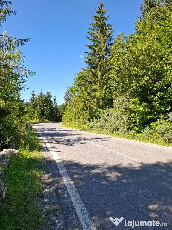 Teren de vânzare aproape de Sinaia 1420mp