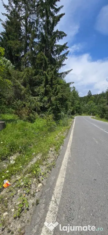 Teren de vânzare aproape de Sinaia 1420mp