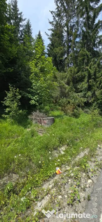 Teren de vânzare aproape de Sinaia 1420mp
