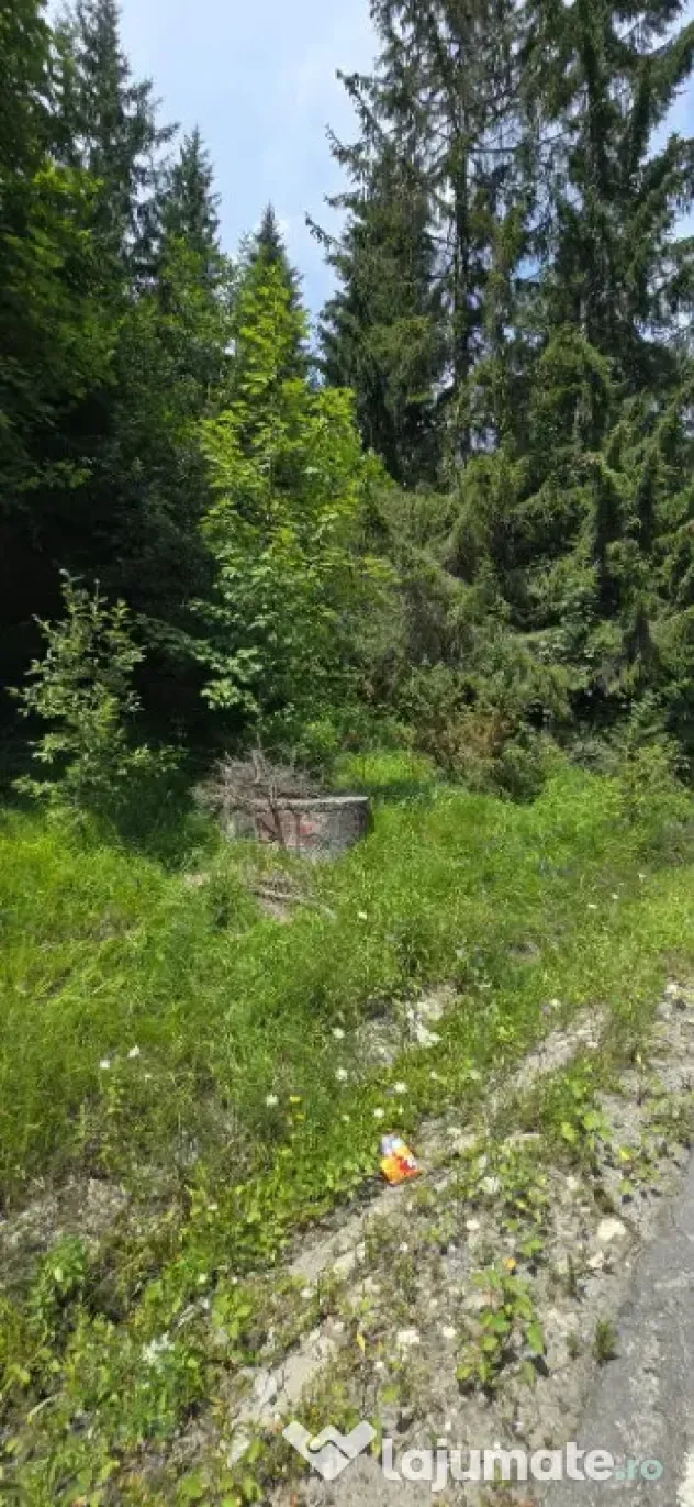 Teren de vânzare aproape de Sinaia 1420mp