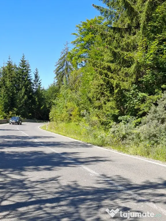 Teren de vânzare aproape de Sinaia 1420mp