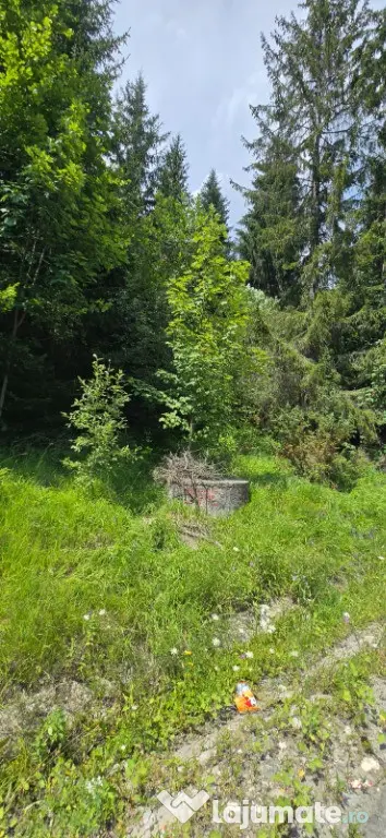 Teren de vânzare aproape de Sinaia 1420mp