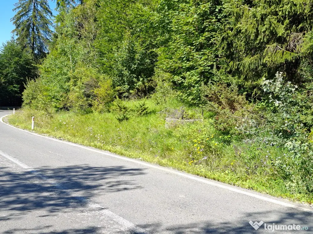 Teren de vânzare aproape de Sinaia 1420mp