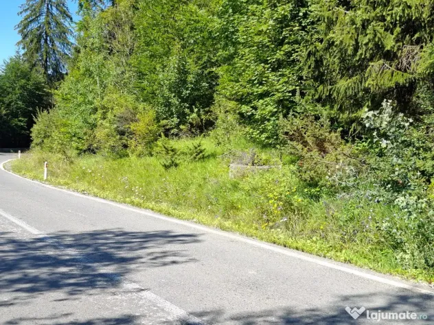 Teren de vânzare aproape de Sinaia 1420mp