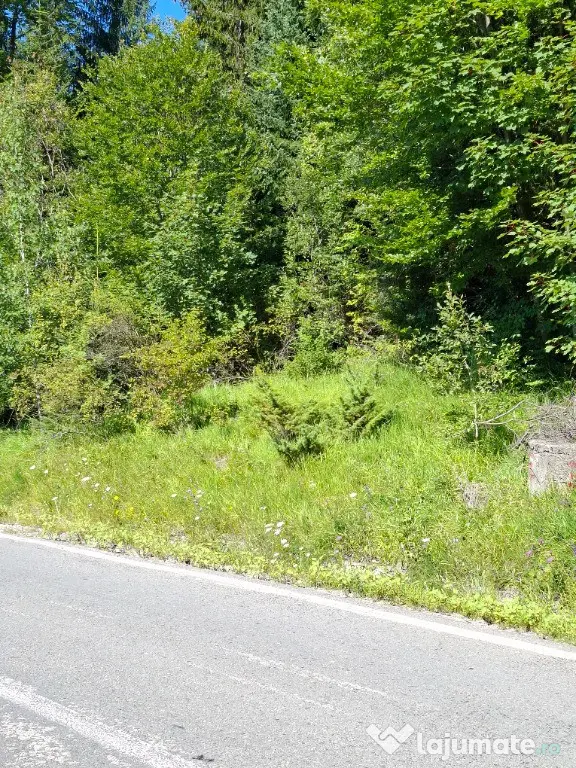 Teren de vânzare aproape de Sinaia 1420mp