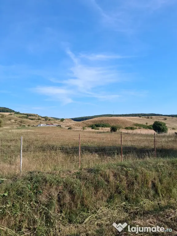 Teren de vanzare 2000mp