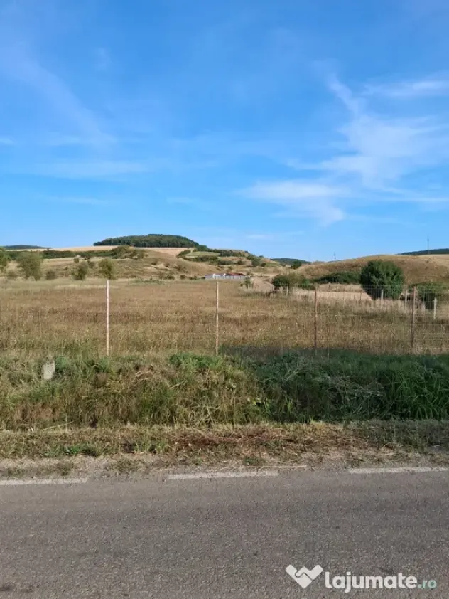 Teren de vanzare 2000mp