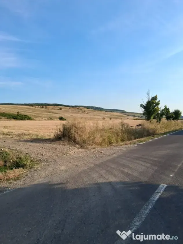Teren de vanzare 2000mp