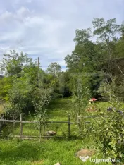 Casa 250 mp utili, 1800 teren, in Ocolis 