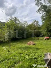 Casa 250 mp utili, 1800 teren, in Ocolis 