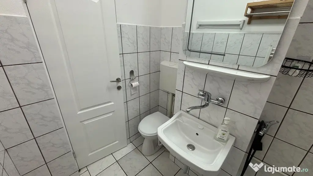 Apartament 1 camera zona linistita central