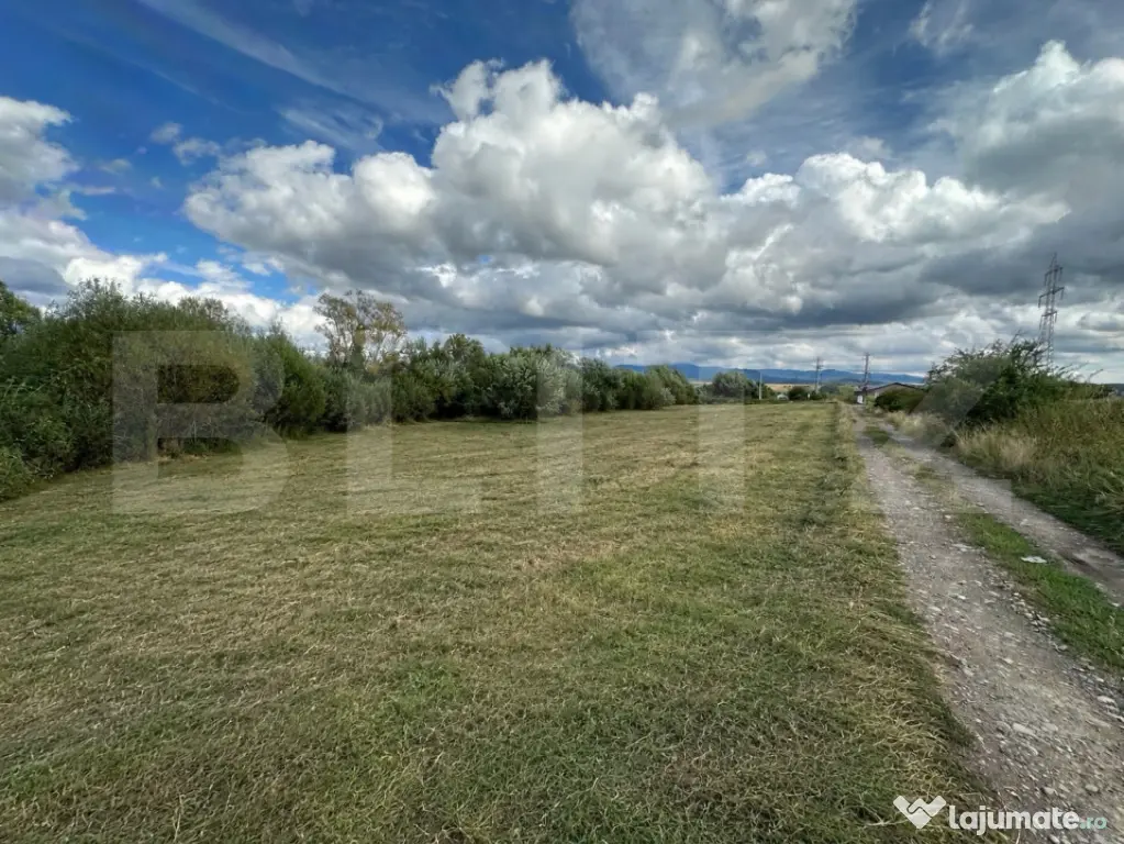 Teren Intravilan | 10 km de oras | 20 Ari