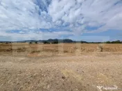 Teren extravilan cu potențial, locație excelentă, pentru 