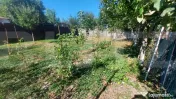 Casa frumoasa si spatioasa cu 3.860 mp teren I Chichis