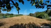 Casa frumoasa si spatioasa cu 3.860 mp teren I Chichis