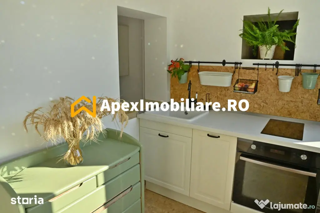 Apartament 2 camere de inchiriat Mosilor București | ApexIm